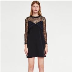 Never Worn Brand New Zara Dress. Bought For $50 Black Mini Dress With Lace Trim For Fall, Zara Black Dress With Lace Trim, Zara Lace Trim Party Dress, Zara Black Sheer Dress, Elegant Zara Dresses With Lace Trim, Elegant Zara Mini Dress With Lace Trim, Zara Dress, Line Dress, Dress With Lace