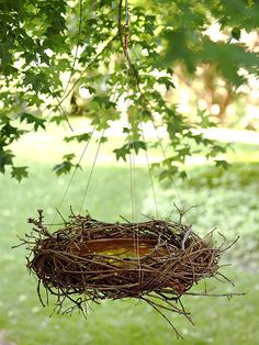 a bird's nest hanging from a tree branch