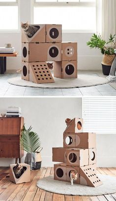 the cat house is made out of cardboard boxes