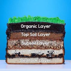 there are three layers of cake with green icing on top, and the words organic layer top soil layer subsoil layer parent material layer bedrock layer