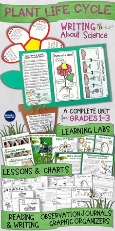 the plant life cycle and writing about science is shown in this graphic guide for students to learn