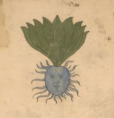 a drawing of a plant with a face on it's head and green leaves