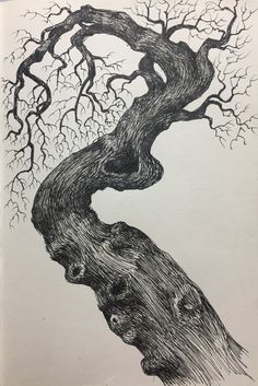 an ink drawing of a tree with no leaves