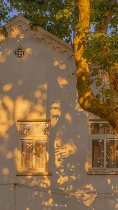 shadows cast on the side of a white building with windows and trees in front of it