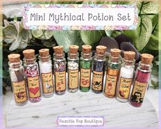 mini mythical potion set in glass bottles with cork tops on a table next to potted plants