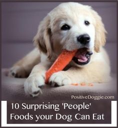 a dog holding a carrot in its mouth with the caption 10 surprising people'foods your dog can eat