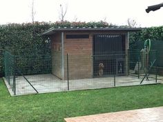 two dogs are in their kennel at the back of the fenced off area