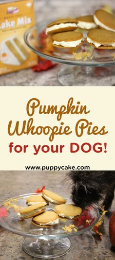 pumpkin whoopie pies for your dog are on the table next to an apple