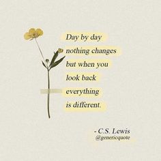 a flower with the quote day by day nothing changes but when you look back everything is different