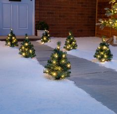 small christmas trees are lit up in the snow