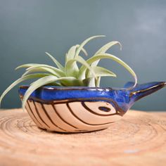 a blue and white ceramic planter sitting on top of a wooden table