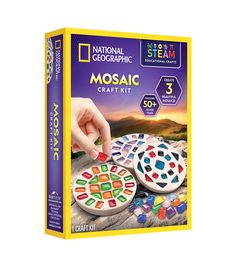 the national geographic mosaic craft kit