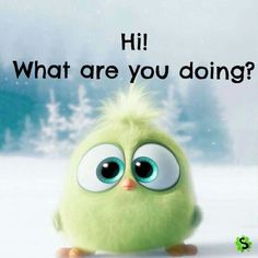 a green bird sitting on top of snow covered ground next to a sign that says hi what are you doing?