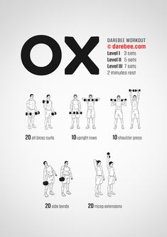 an info poster showing how to do the dumbble exercises for chest and back muscles