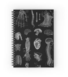 a spiral notebook with an illustration of the human body