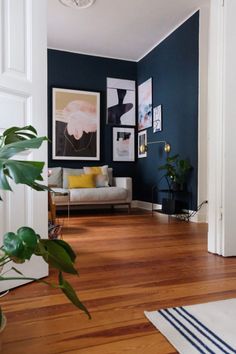 a living room with blue walls and wooden floors, plants in vases on the floor