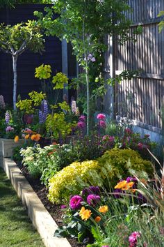 a garden filled with lots of different types of flowers