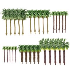 several palm trees are shown in four different positions, including the top one is green