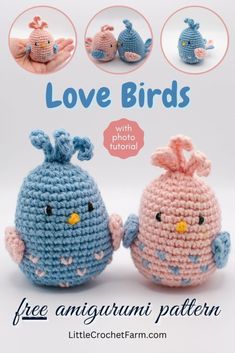 two crocheted birds are shown with the words love birds written in front of them