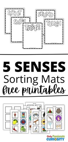 five pictures with the words 5 sensees sorting mats and five printables on them