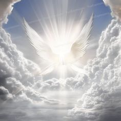 a white dove flying through the sky with clouds in the foreground and sunbeams behind it