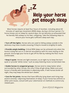 a horse with the words help your horse get enough sleep