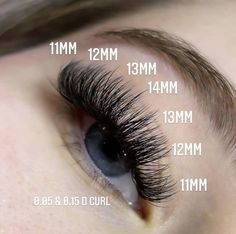 Wispy Babydoll Lash Extensions, Light Volume Lash Extensions Map, Megavolume Lash Extensions, Lash Extension Lengths, Lash Extension Mapping Styles, Hybrid Lash Extensions Mapping, Volume Full Set Lash Extensions, Whispy Lashes Extensions Map, Volume Lash Extensions Mapping