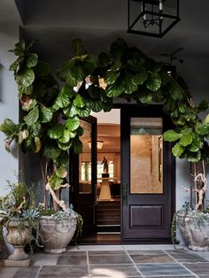 the entrance to a house with potted plants