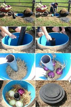 several pictures showing how to make a bird feeder out of an old plastic bucket and some eggs