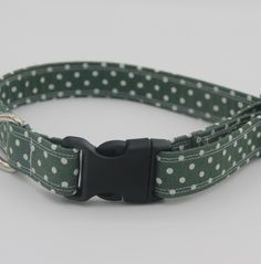 a green and white polka dot dog collar with black metal buckle on an isolated background