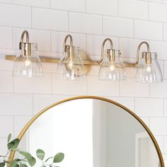 a bathroom vanity with three lights and a mirror on the wall next to a potted plant