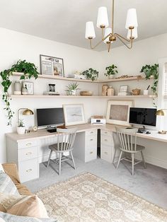 a home office with two computer desks and shelves on the wall above them, along with potted plants