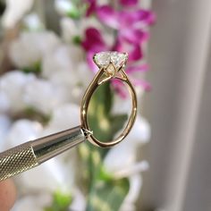 a close up of a person holding a pair of scissors in front of a flower