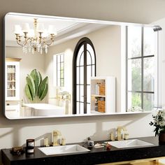 a bathroom mirror that has a plant in the middle of it and a sink below it