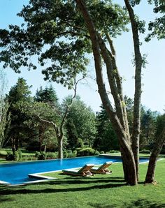 an empty swimming pool in the middle of a lush green park with trees and lawn furniture