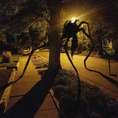 a large spider hanging from the side of a tree in front of a street light