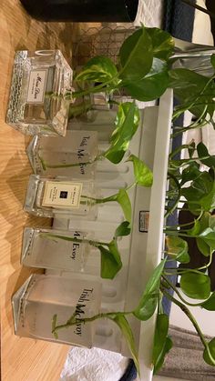 four bottles of perfume sitting on top of a wooden table next to a potted plant