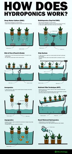 a poster with instructions on how to use hydroponics in the water and plants