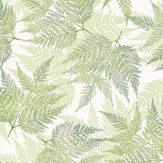 green leaves on white background for wallpaper or fabric design stock photo - budget conscious home decor