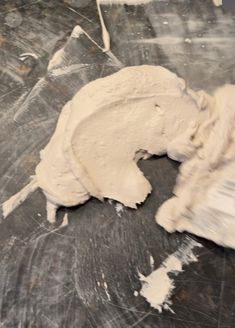 a white dog laying on top of a wooden floor covered in paint and shaving