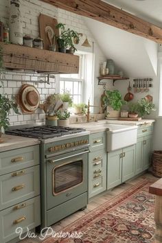 a kitchen with an oven, sink and lots of greenery on the counter top