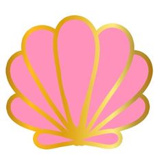 a pink and gold shell on a white background