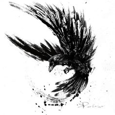 a black and white drawing of a bird flying through the air