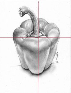 a pencil drawing of a pepper on a white paper with a red line going through it