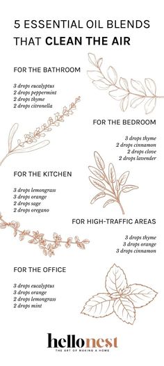 Medicine Garden, Essential Oil Combinations, Essential Oil Spray, Essential Oil Diffuser Recipes