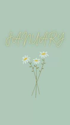 some daisies with the word january written on them in cursive writing, against a pale green background