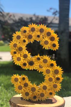 the number 5 made out of sunflowers sits on top of a tree stump