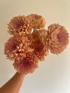 a person's hand holding a bunch of flowers