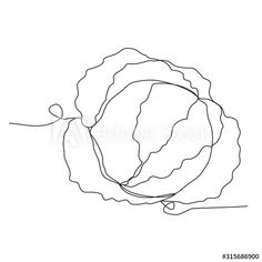 continuous line drawing of a cabbage