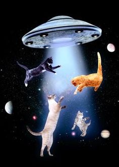 cats are flying in the air near an alien spaceship